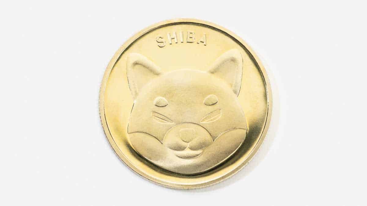 O Que Shiba Inu Criptomoeda Como Funciona Previs O De Pre Os